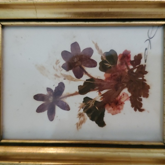 Vintage Floralp Tyrol Austria Pressed Flowers Miniature Framed Pictures Set of 2 - Picture 2 of 10